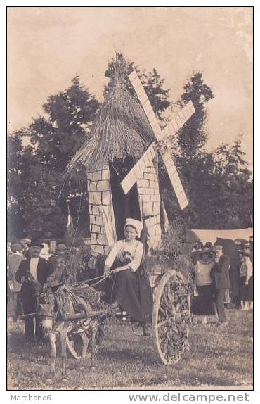 LUCON CARTE PHOTO FETE ATTELAGE D ANE AVEC UN MOULIN SUR LA VOITURE - Lucon