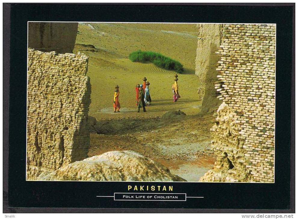 LC388 PAKISTAN POSTCARD Folk Life Of Cholistan Desert Punjab Province, Unused - Pakistan