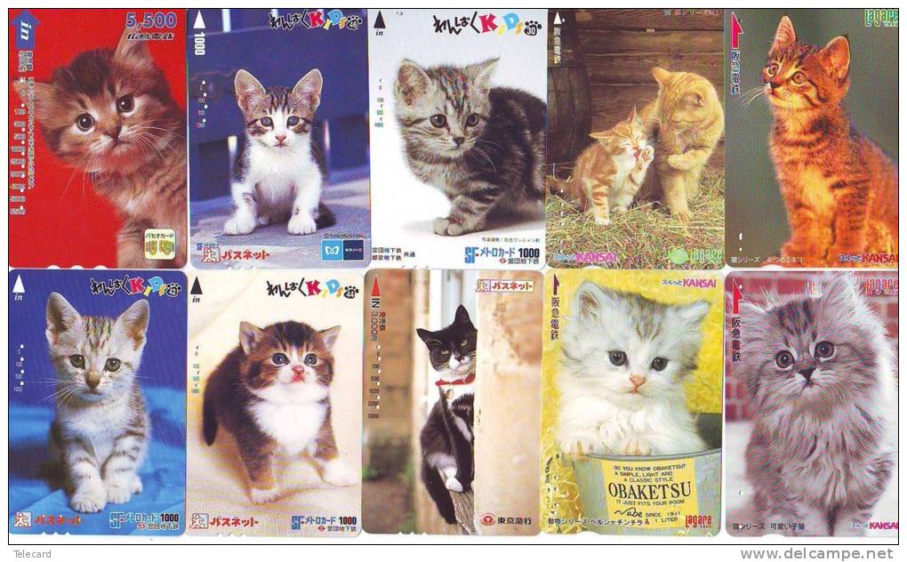 LOT 50 Telecartes + Prepayees Differentes Japon * CHATS * CATS  * KATZE * KATTEN (LOT 225) Prepaid Cards Japan - Collections