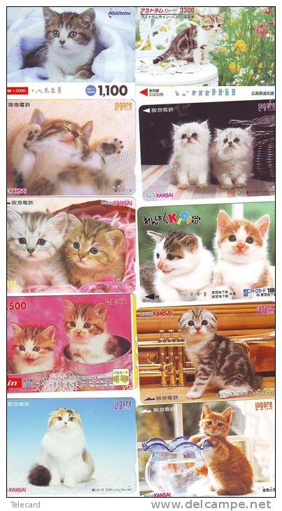 LOT 50 Telecartes + Prepayees Differentes Japon * CHATS * CATS  * KATZE * KATTEN (LOT 227) Prepaid Cards Japan - Collections