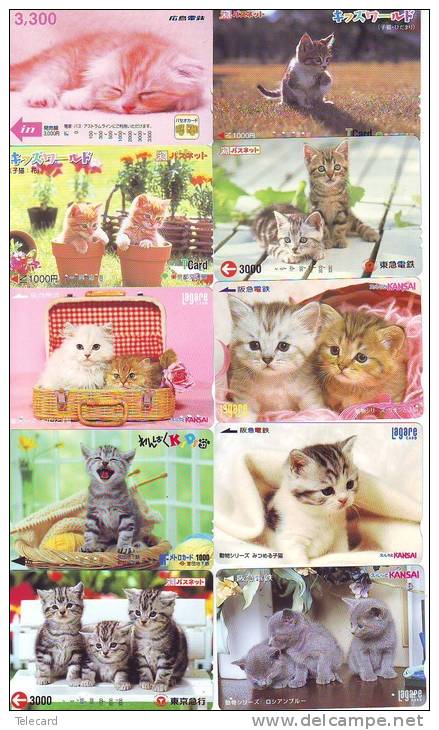 LOT 50 Telecartes + Prepayees Differentes Japon * CHATS * CATS  * KATZE * KATTEN (LOT 228) Prepaid Cards Japan - Collections