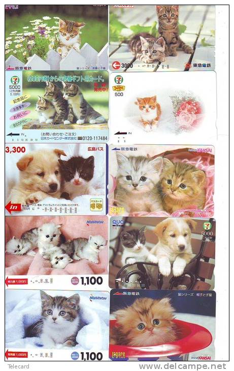 LOT 50 Telecartes + Prepayees Differentes Japon * CHATS * CATS  * KATZE * KATTEN (LOT 230) Prepaid Cards Japan - Collections