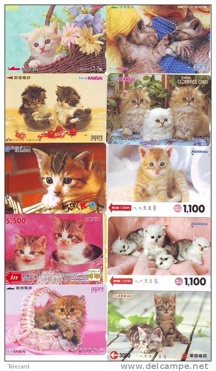 LOT 50 Telecartes + Prepayees Differentes Japon * CHATS * CATS  * KATZE * KATTEN (LOT 231) Prepaid Cards Japan - Collections