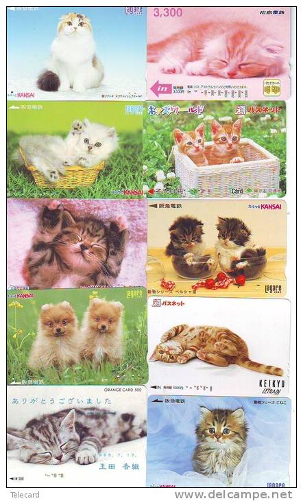 LOT 50 Telecartes + Prepayees Differentes Japon * CHATS * CATS  * KATZE * KATTEN (LOT 239) Prepaid Cards Japan - Colecciones