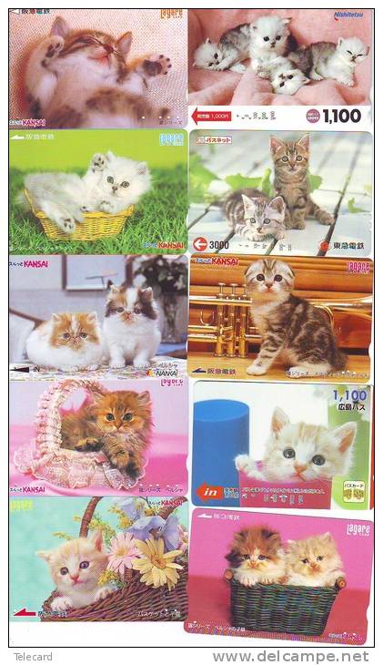 LOT 50 Telecartes + Prepayees Differentes Japon * CHATS * CATS  * KATZE * KATTEN (LOT 240) Prepaid Cards Japan - Lots - Collections