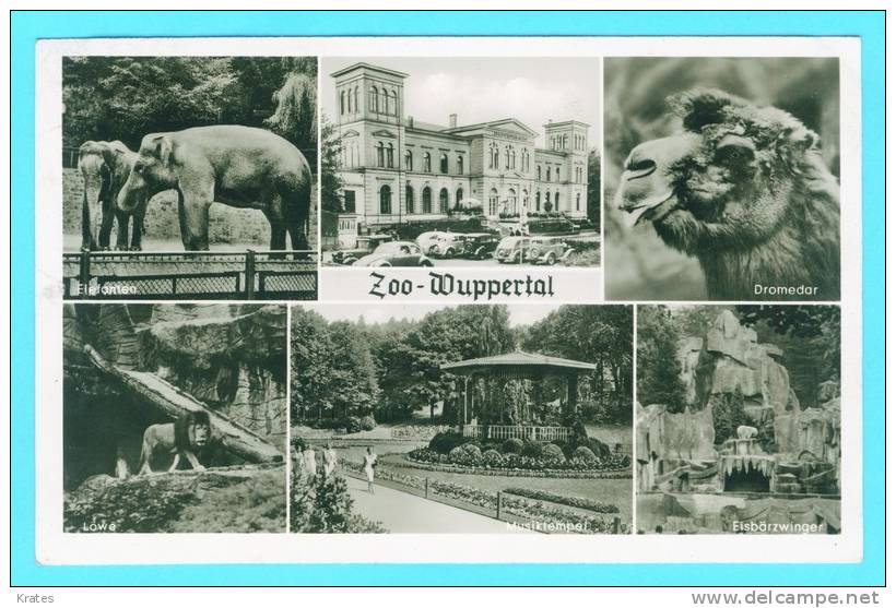 Postcard - ZOO-Wuppertal    (6403) - Wuppertal