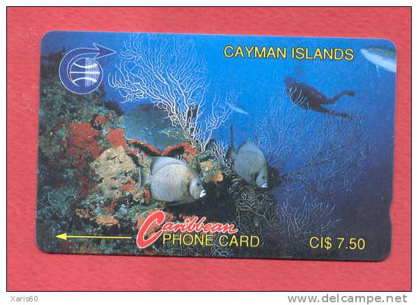 CAYMAN: CAY-3A 'Unterwater' Old Logo. 3CCIA (1991) - Iles Cayman
