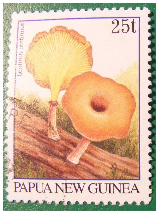 Papua New Guinea    -   25 T    Lentinus Umbrinus     Used  / Gestempelt - Paddestoelen