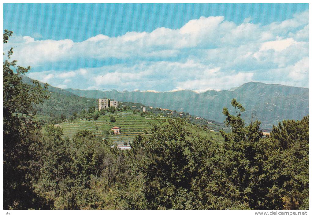 LA GAUDE-LE CHATEAU DES GAUDE ERIGE PAR LES TEMPLIERS - Autres & Non Classés