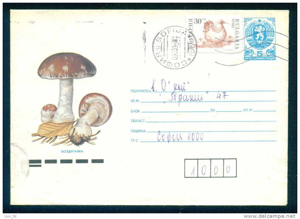 PS9284 / Mushroom  - HEN WITH CHICKENS 1992 Stationery Entier Bulgaria Bulgarie - Cuckoos & Turacos