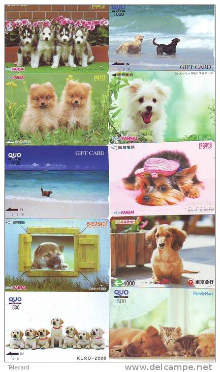 LOT 50 Telecartes + Prepayees Differentes Japon * CHIENS  * DOGS * HUNDE * HONDEN (LOT 250) Prepaid Cards Japan - Collections