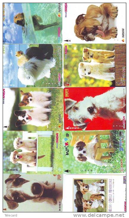 LOT 50 Telecartes + Prepayees Differentes Japon * CHIENS  * DOGS * HUNDE * HONDEN (LOT 251) Prepaid Cards Japan - Colecciones