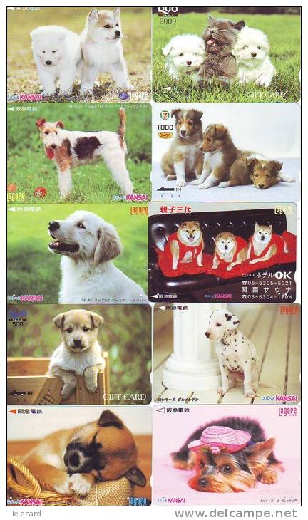 LOT 50 Telecartes + Prepayees Differentes Japon * CHIENS  * DOGS * HUNDE * HONDEN (LOT 254) Prepaid Cards Japan - Collections