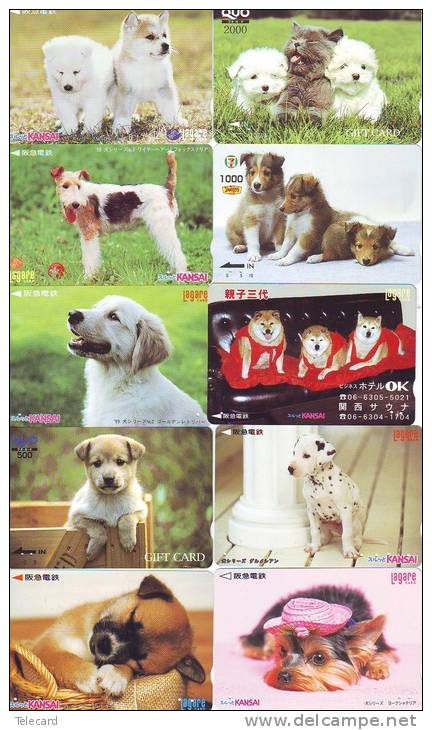 LOT 50 Telecartes + Prepayees Differentes Japon * CHIENS  * DOGS * HUNDE * HONDEN (LOT 254) Prepaid Cards Japan - Verzamelingen