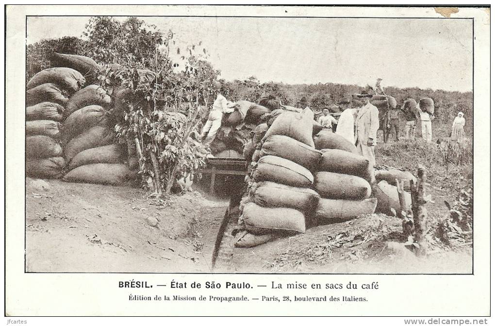 Etr - Brésil - Etat De SAO PAULO - La Mise En Sacs Du Café - São Paulo