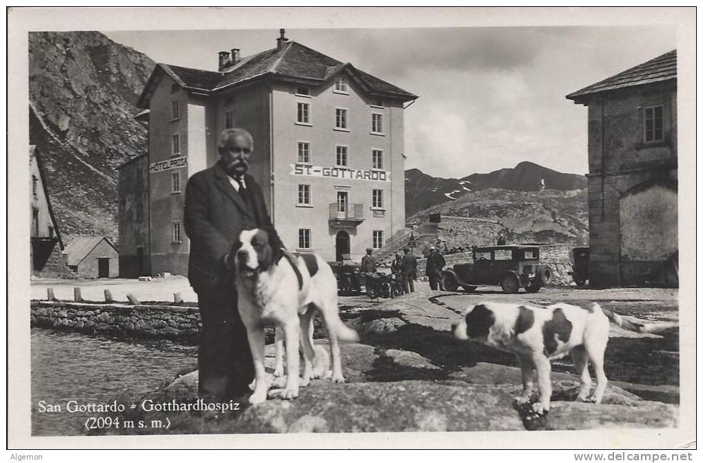 3654 - Les Chiens Au St-Gothard - Cani