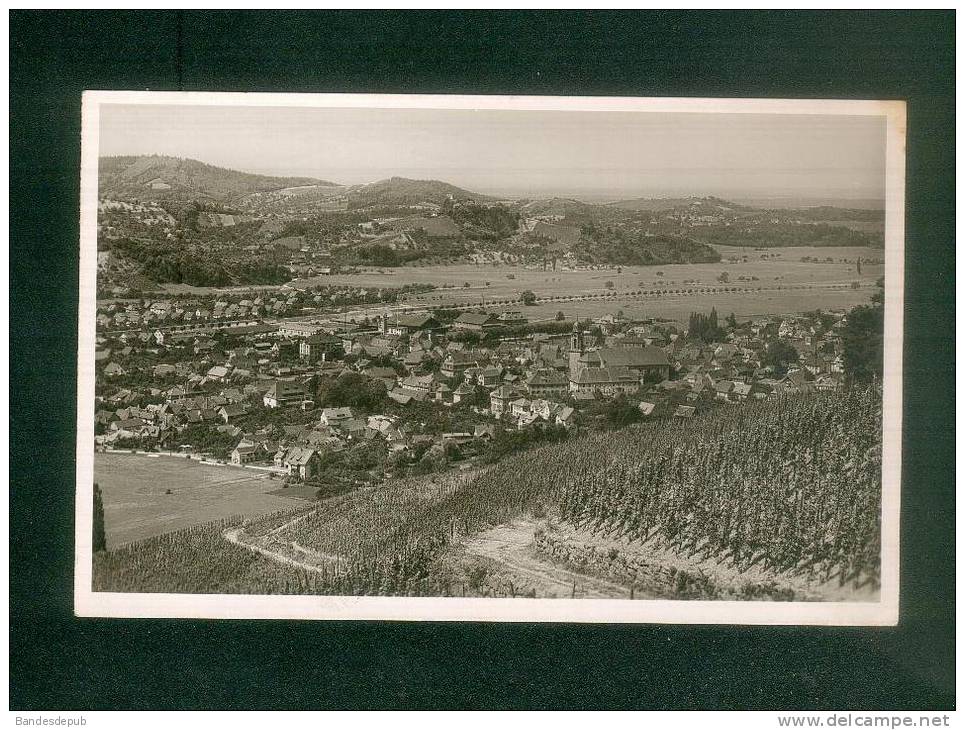 Allemagne - OBERKIRCH I. B. ( Gebr. Metz Vigne Vignoble ) - Oberkirch