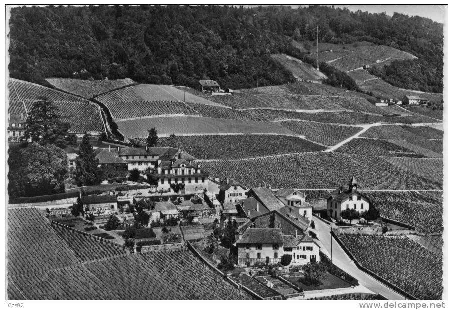 En Avion Au-dessus De Vinzel - Vinzel