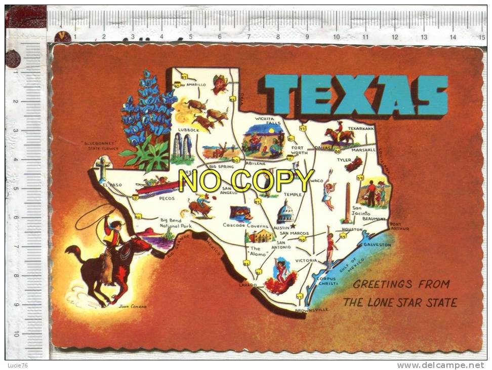 TEXAS -  Greetings From The Lone Star State  -  Illustrations - Autres & Non Classés