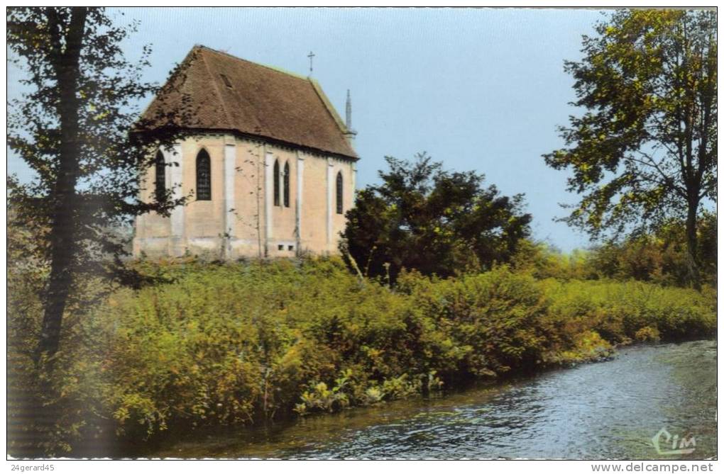 CPSM DORDIVES (Loiret) - Bords De La Clery - Dordives