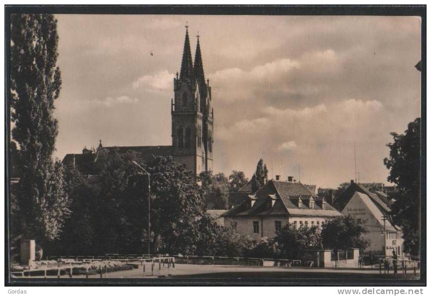 Germany - Oschatz In Sachsen - Blick Zur Agidienkirche - Oschatz