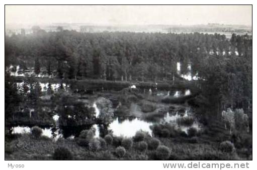 80 BRAY SUR SOMME Etangs Communaux Et Courant De La Somme - Bray Sur Somme