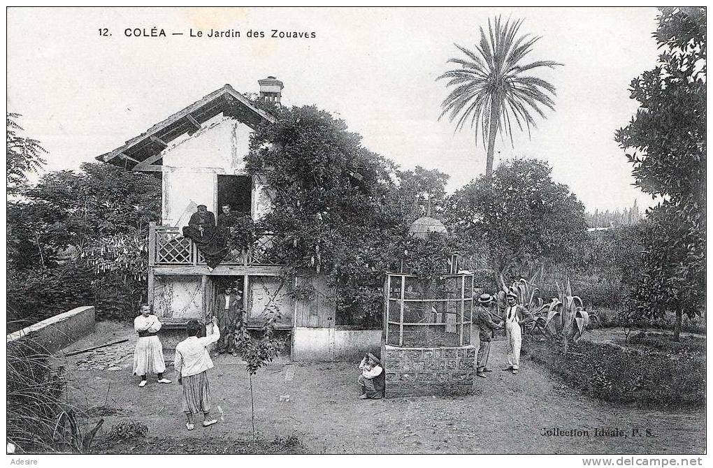 1920, Algerien, COLEA - Le Jardin Des Zouaves, Gel.um 1920 - Sonstige & Ohne Zuordnung