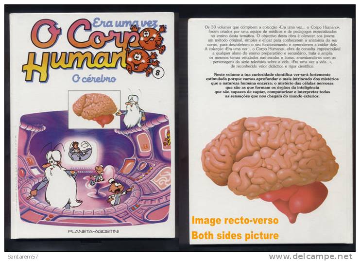Livre Book Livro Era Uma Vez O Corpo Humano N° 8 Il était Une Fois Ouvrage En Portugais 1991 O Cérebro Le Cerveau - Comics & Manga (andere Sprachen)