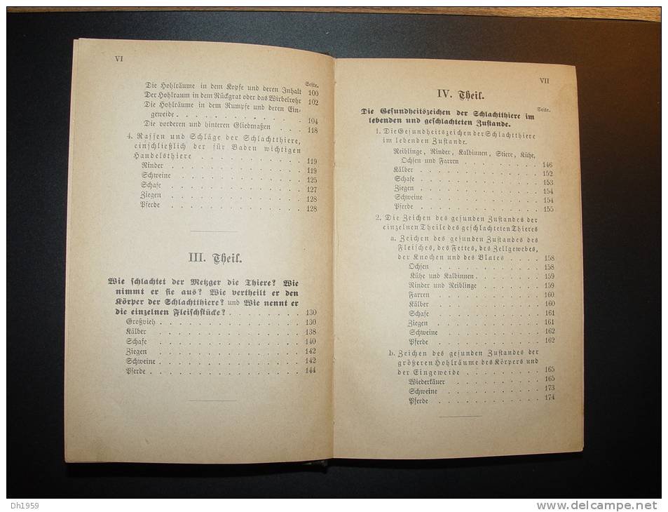 1890 AUSÜBUNG FLEISCH BESCHAU VETERINAIRE ABATTOIR BOUCHERIE BOUCHER BADEN KARLSRUHE