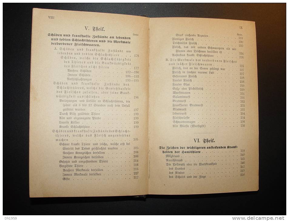 1890 AUSÜBUNG FLEISCH BESCHAU VETERINAIRE ABATTOIR BOUCHERIE BOUCHER BADEN KARLSRUHE