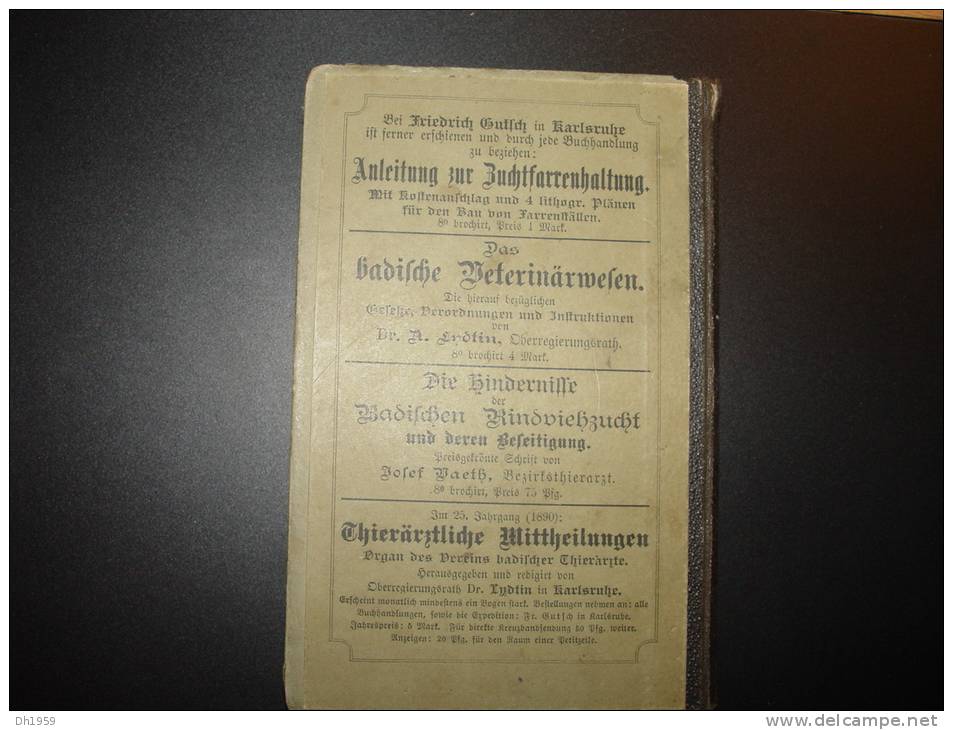 1890 AUSÜBUNG FLEISCH BESCHAU VETERINAIRE ABATTOIR BOUCHERIE BOUCHER BADEN KARLSRUHE