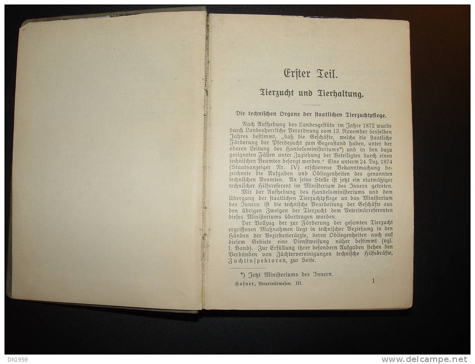 1912 VETERINÄRSWESEN GROSSHERZOGTUM BADEN ELEVAGE VETERINAIRE ABATTOIR BOUCHERIE BOUCHER  ANIMAUX