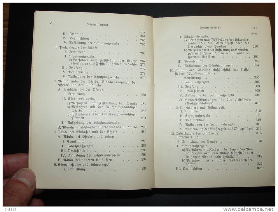 1912 VETERINÄRSWESEN GROSSHERZOGTUM BADEN ELEVAGE VETERINAIRE ABATTOIR BOUCHERIE BOUCHER  ANIMAUX