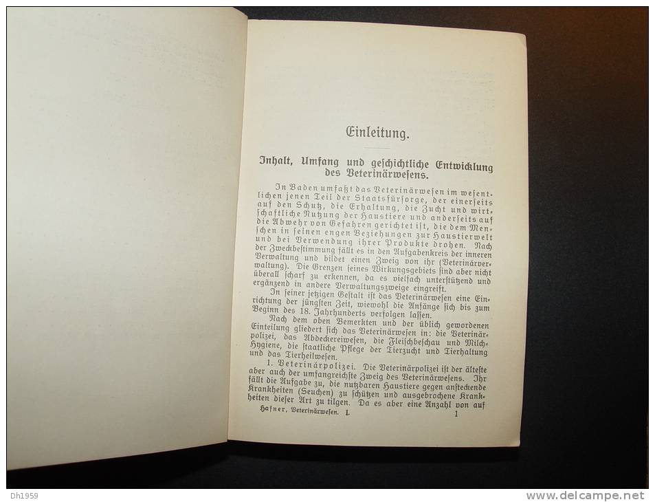 1912 VETERINÄRSWESEN GROSSHERZOGTUM BADEN ELEVAGE VETERINAIRE ABATTOIR BOUCHERIE BOUCHER  ANIMAUX