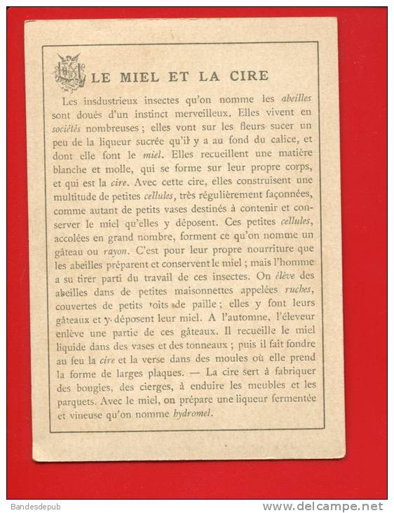 CHROMO Vieillemard Texte Au Dos Miel Abeille Apiculture Apiculteur Honey Ruche  Cire  Hydromel - Otros & Sin Clasificación