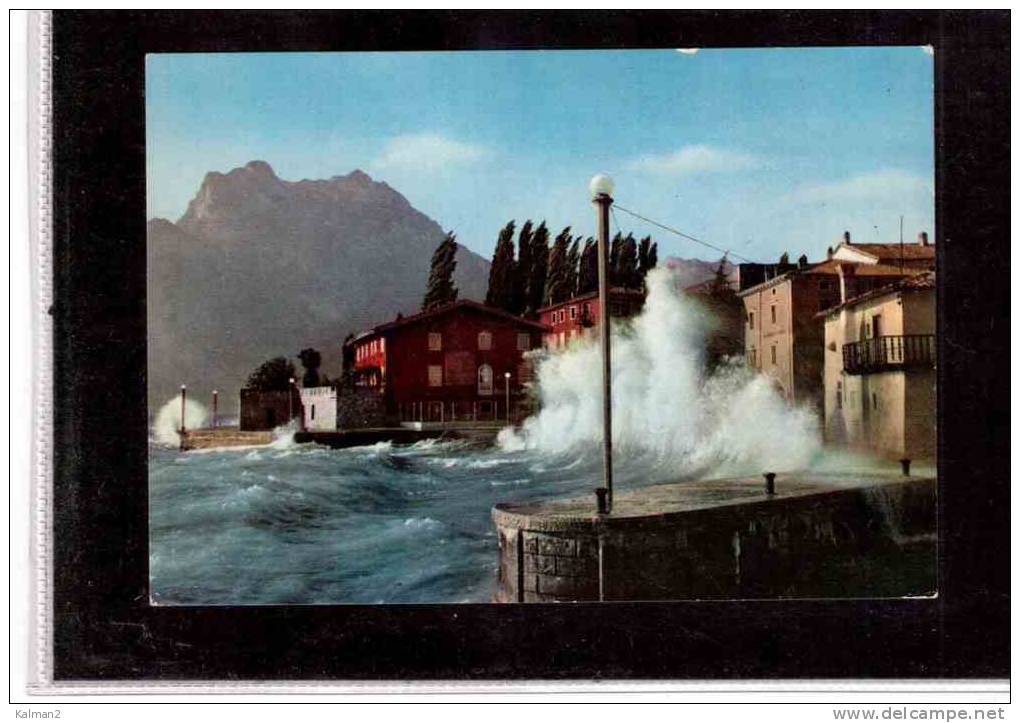 2879  -  TORBOLE  -  LAGO DI GARDA        /  COLORCARD - Sonstige & Ohne Zuordnung