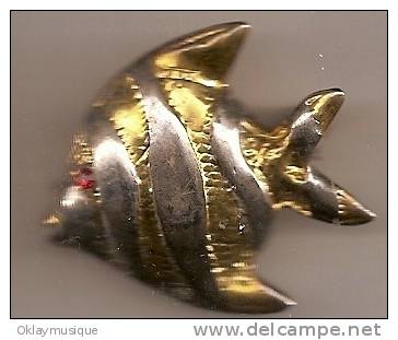 Broche (poisson) - Broches