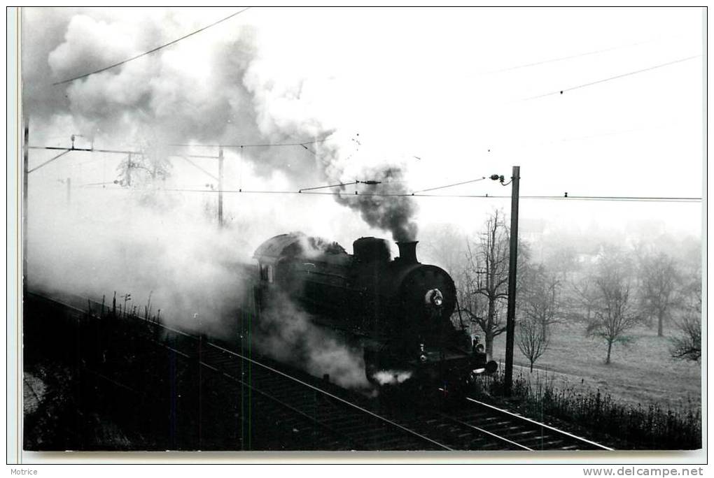 CHEMINS DE FER SUISSE  -Train N° 2969 Quittant Eglisau (carte Photo En 1968, Petit Format) - Eglisau