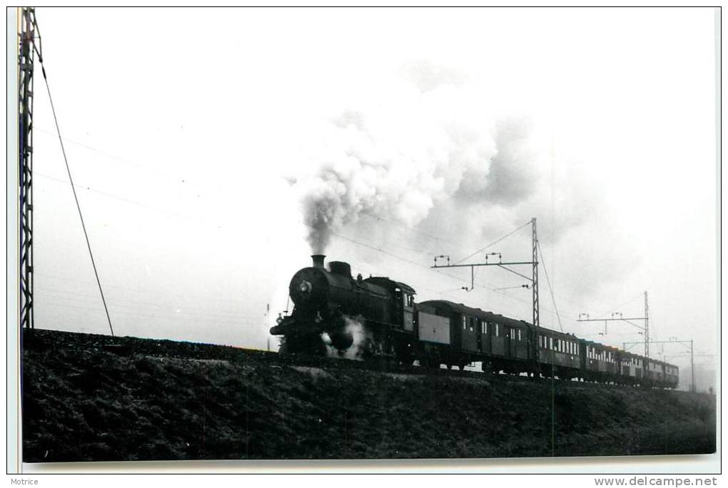 CHEMINS DE FER SUISSE  -Train Entre Eglisau Et Bülach (carte Photo En 1968, Petit Format) - Bülach