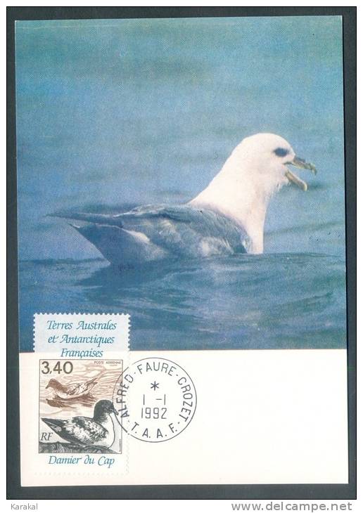 TAAF Y&T PA 121 Damier Du Cap Oiseau Bird 1992 Alfred-Faure Crozet 1/1/1992 Carte Maximum - FDC