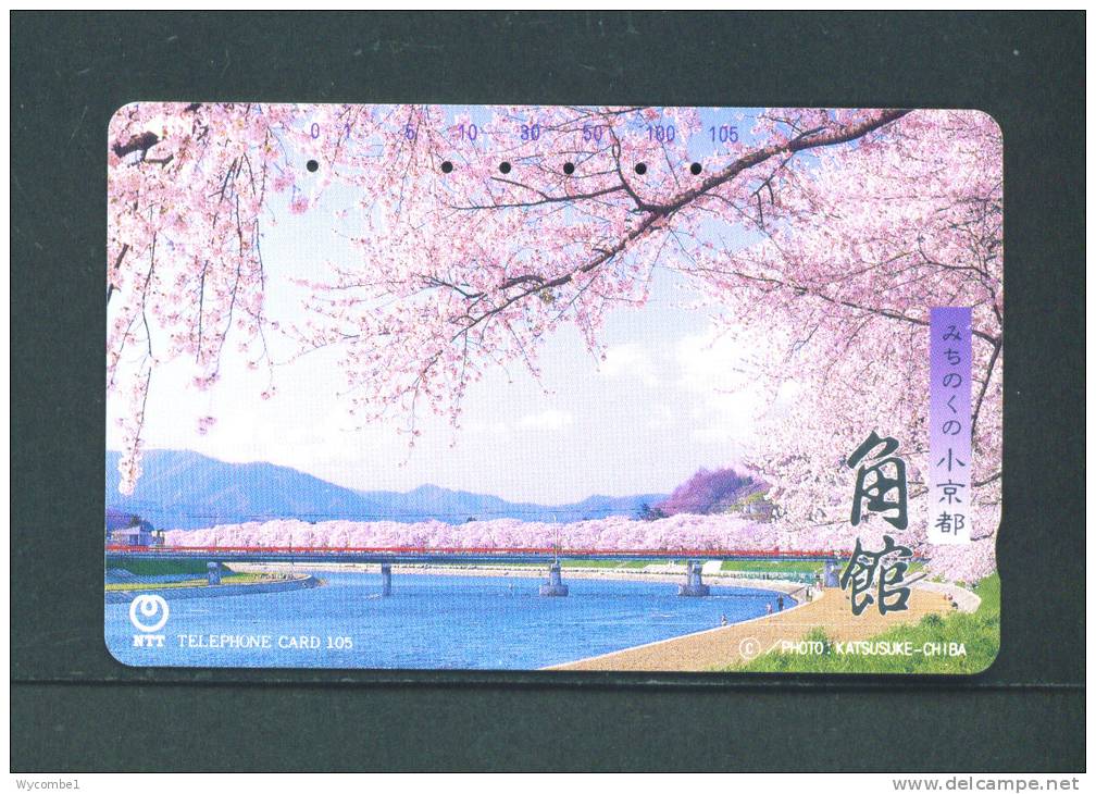 JAPAN  -  Magnetic Phonecard As Scan (411-166) - Japan