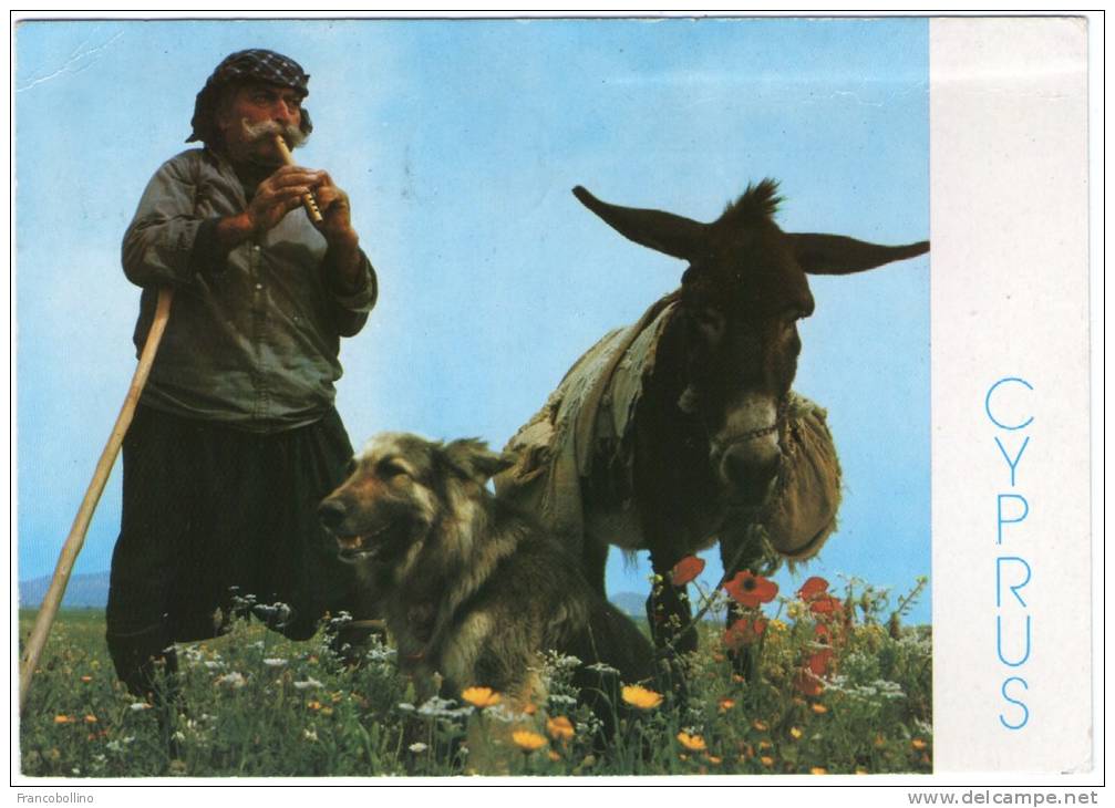 CYPRUS/CHYPRE - A SHEPHERD - Chypre