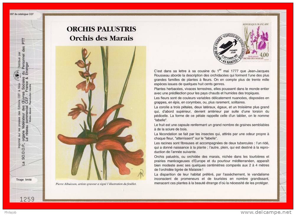 CEF 1° Jour N°té De 1992 N° 1097 " ORCHIS DES MARAIS ". N° YT 2768 + Prix Dégressif. - Orchidées
