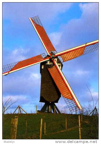 GELRODE Bij Aarschot (Vlaams-Brabant) - Molen/moulin - Moedermeule Opgezeild En In Werking (1988) - Aarschot