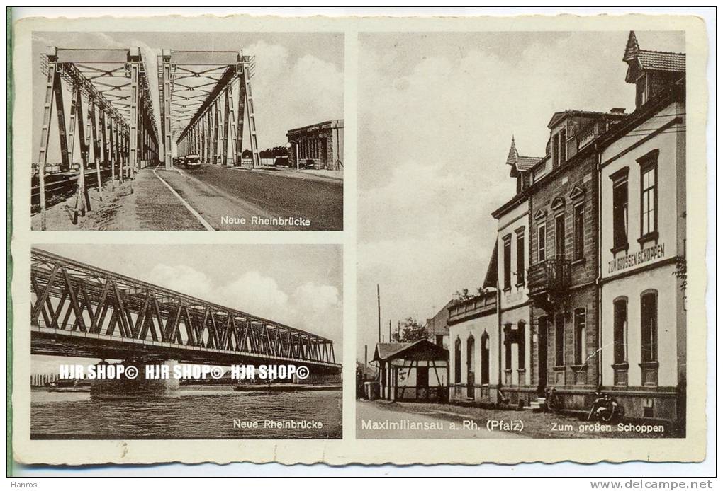 „ Maximiliansau Am Rhein“  Um 1940/1950, Ansichtskarte,  Ungebrauchte Karte - Woerth