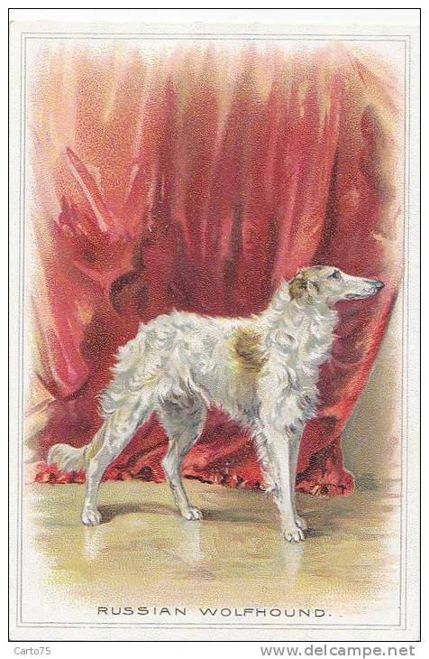 Animaux - Chiens - Fantaisies - Illustrateur - Dog - Russian Wolfhound - Lévrier - Chiens