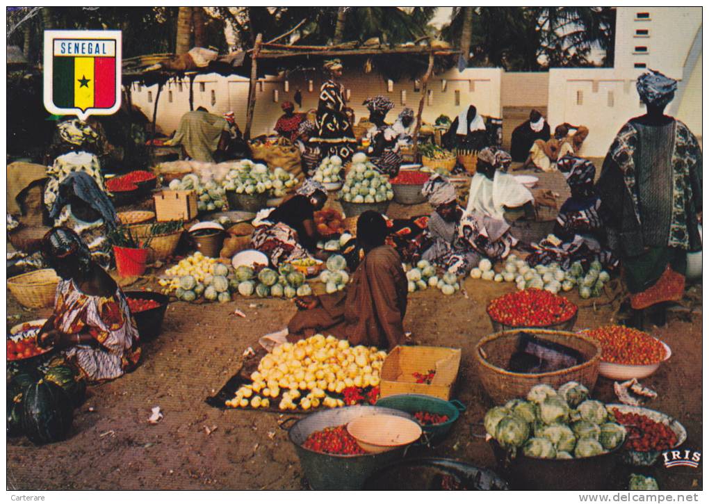 AFRIQUE,OUEST,AFRICA,AFRIKA,SENEGAL,SUD,KASA,CASAMANCA,Marché,Market,METIER,vendeur De Légume,et Fruits - Senegal