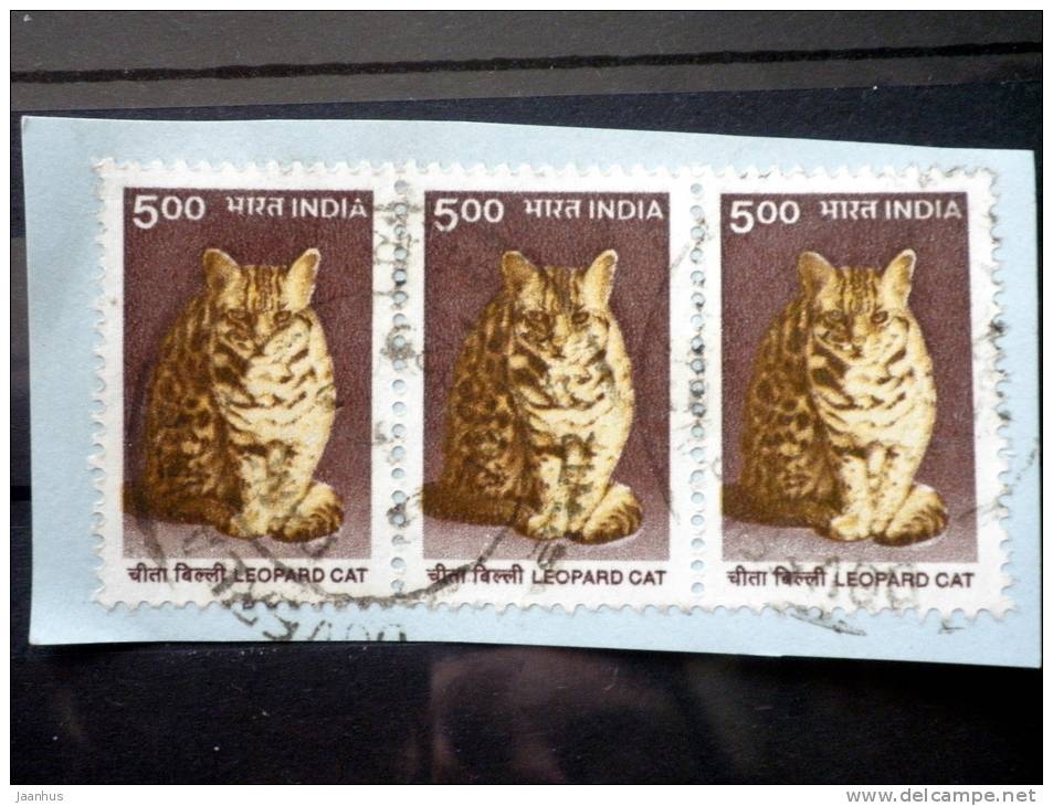 India - 2000 - Mi.nr.1759 - Used - Indian Heritage - Leopard Cat - Definitives - On Paper - Used Stamps