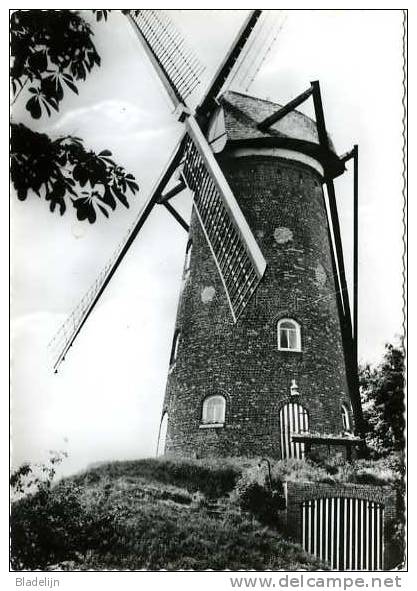 OELEGEM Bij Ranst (Antw.) - Molen/moulin - De Stenen Molen Omstreeks 1960. Fraaie Zwart-wit Kaart, Glanzend - Ranst