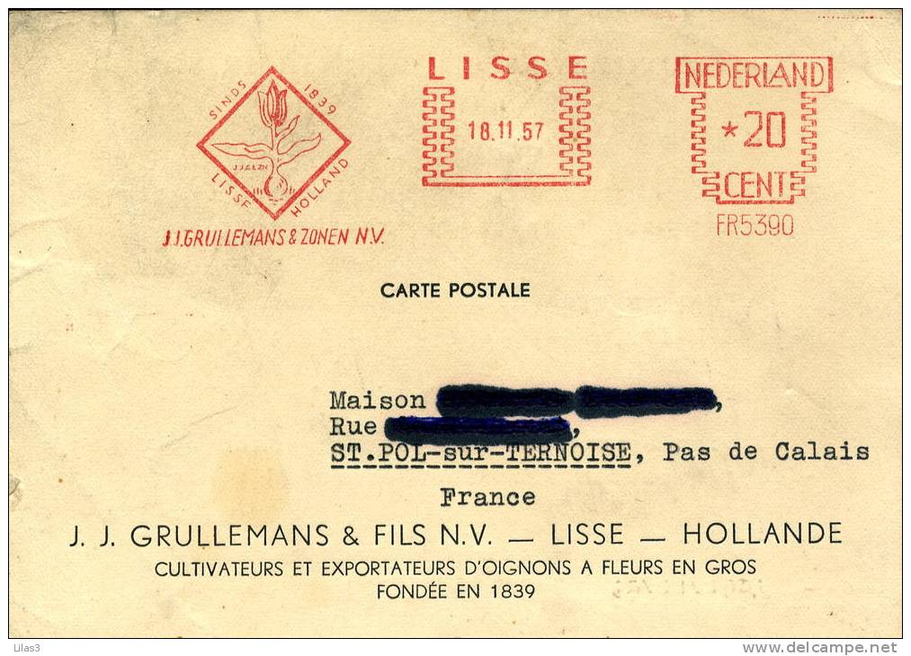 Fleur Lisse Pays Bas 1957 Bulbe Et Fleur De Tulipe Production De Bulbes Depuis 1839 - Franking Machines (EMA)